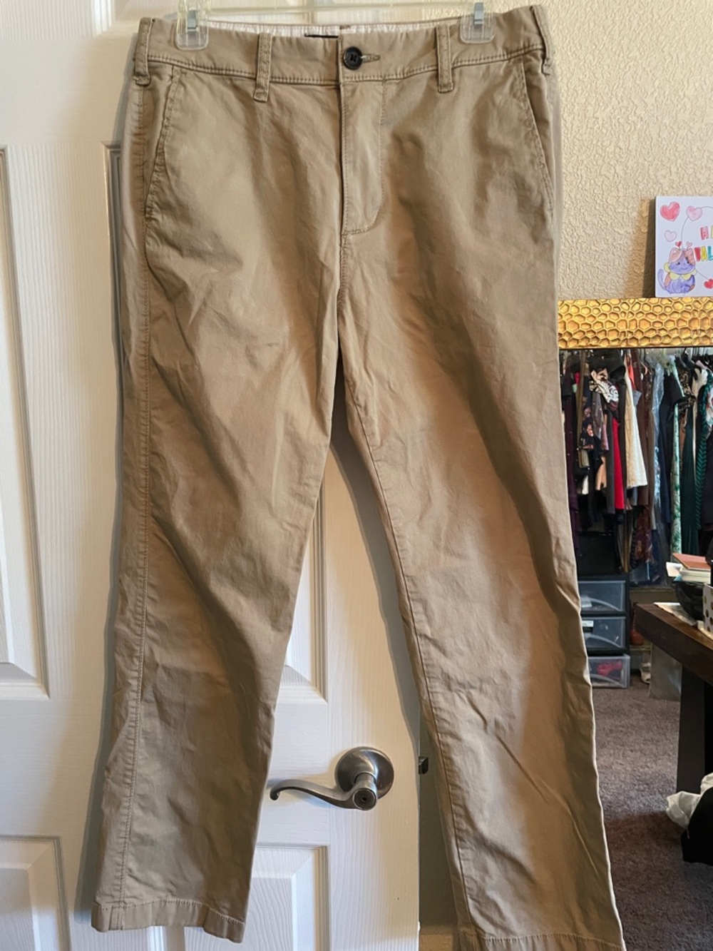 Hollister  Straight fit Chino Pants